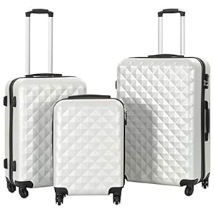 vidaXL Kofferset Hard 3-delig ABS Zilverkleurig Trolley Reiskoffer Reisbagage