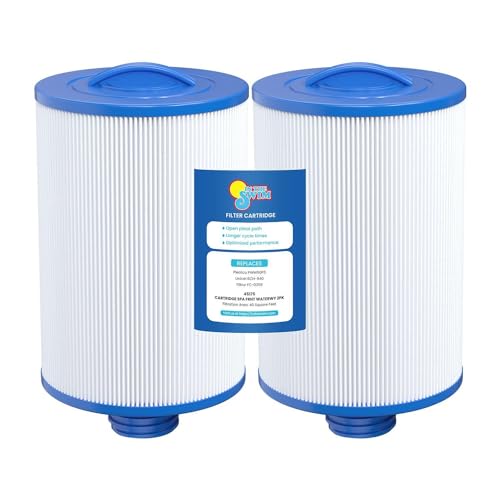 In The Swim Filter Cartridge 2-Pack Replacement for Waterway Front Access 50 AA18024