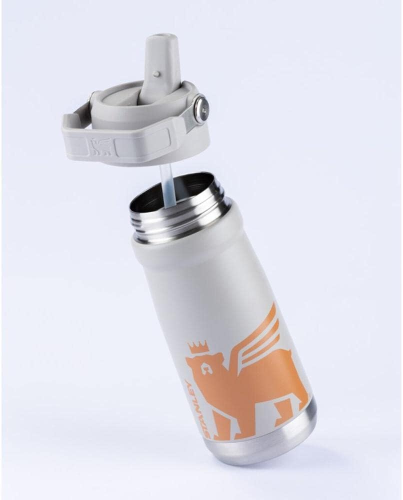 Stanley Garrafa Térmica Flip Straw Youth Ash | 500ml