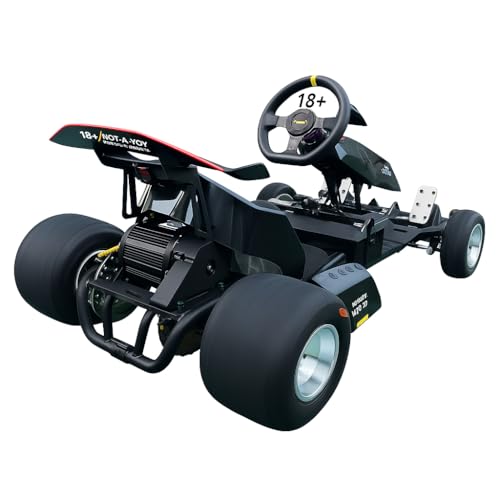 Zyliathor 3000W Electric Racing Go-Kart