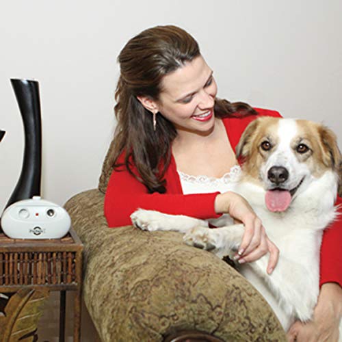 Sistema Ultrassônico Antilatido Indoor Petsafe (Xbc13-11807) Petsafe para Cães, Cinza