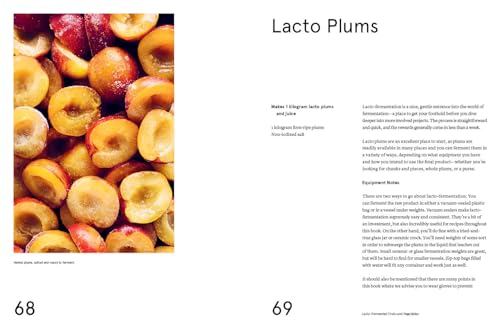 Image of The Noma Guide to Fermentation (Foundations of Flavor)