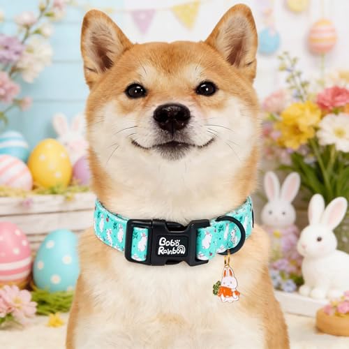 Image of Dog Collars, Easter White Rabbit Print Blue Pet Collar Holiday Cute Durable Adjustable Pendant Gift Collar with Quick Release Plastic Buckle for Large Dogs