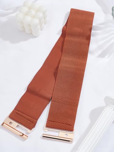 1Pcs Polyester Elastic Chain Belt, Alloy Clasp Waist Belt Saddle Brown Adjustable Stretch Waistband for Women Men Dresses Jeans Coats Overcoat Casual, 27-1/2 inch(70cm)