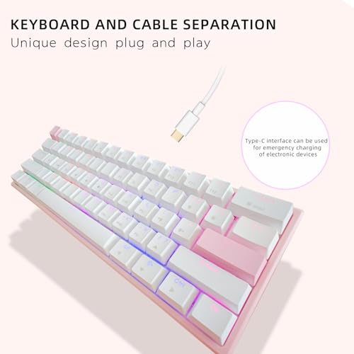 Teclado Mecánico Gamer ONE-UP Portable 60% USB-C miniatura 2