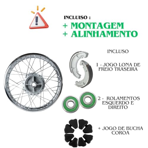 Aro + Raia + Rolamento + Lona Patim De Freio Da Titan 150 Todos os Anos