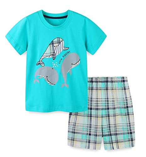 Image of HILEELANG Boys Summer Outfits Short Sleeve T-Shirt & Shorts Sets Playwear Clothes 2 Piece 2-7Y