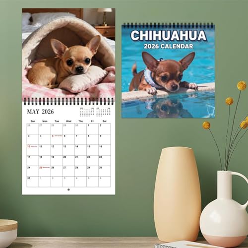 Chihuahua Kalender 2026, 21X21CM Niedlicher Chihuahua Wandkalender, Lustige Chihuahuas Wandplaner Kalender, Neuartige Chihuahuas Monatsplaner Ganze Familie, für Geschenkidee Hundeliebhaber