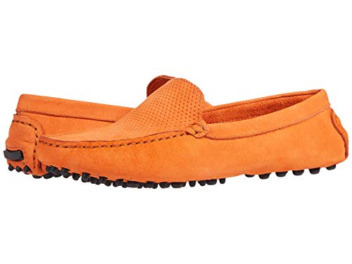 Massimo Matteo Perf Venetian Driver Cenoura Nubuck 6.5 M