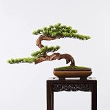 Sztuczne drzewko bonsai, chińskie, matowe, ceramiczne, doniczkowe, dekoracja rockowa, sztuczny mech, realistyczne zielone rośliny, do salonu, gabinetu i biura, do biura, salonu