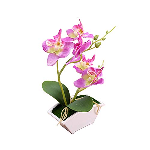 HEELPPO Plantas Artificiales Flores Phalaenopsis Artificial Planta En Maceta DecoracióN De Mesa Plantas De Interior Flor Artificial Adecuado para Hoteles Restaurantes LibreríAs Purple