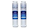 Best Choice Water Filters BCF78 Compatible with GE GXRLQR Certified Refrigerator Replacement Cartridge Fits GXRLQ, GX1S50, GXSTQ, GXRLOR SmartWater Twist and Lock Inline Filter (2-Pack)