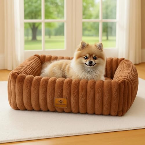 CareCooo Cuccia Cane Interno Taglia Piccola, Letto Rettangolare Sfoderabile e Lavabile, Cuscino Morbido per Cani, Divano per Cani Comodo e Antiscivolo, Marrone, S(51x48x15cm)