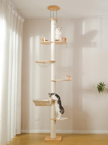 Solid Wood Climbing Tower with Capsule