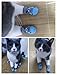 Heiqlay Hundesocken Anti Rutsch Socken für Katzen Pfotenschutz Hund Katze Pet Indoor Anti-Rutsch Socken Pfotenschutz und Traktion Dank Silikon-Gel für Hunde und Katzen, 4 Sätze, S