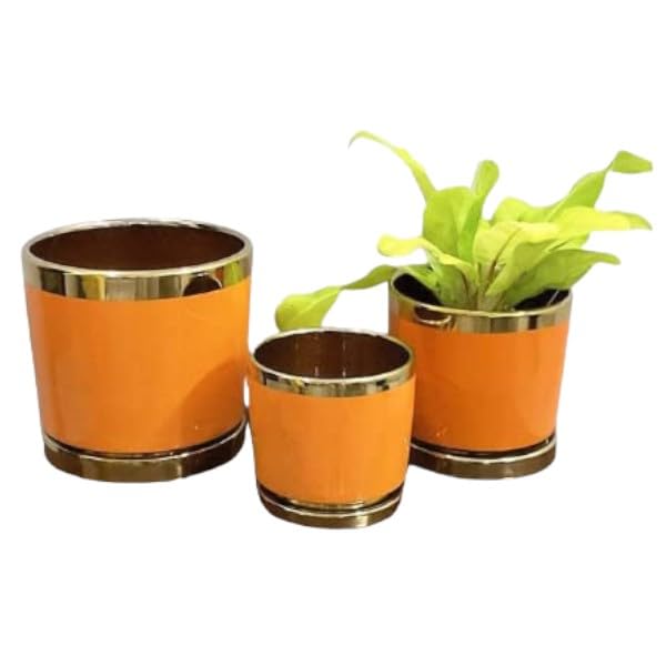 See full amazon price history chart for Garden Art Imported Ceramic Set of 3 (19cm/ 15.5cm/ 12.8cm Dia) Indoor Planter Pot with Drainage Hole and Saucer, Orange Colour with Golden Stripe for Home,Office Decor GA7106012-OG Garden Art Imported Ceramic Set of 3 (19cm/ 15.5cm/ 12.8cm Dia) Indoor Planter Pot with Drainage Hole and Saucer, Orange Colour with Golden Stripe for Home,Office Decor GA7106012-OG (B0B8D3YYF2) Amazon Price History, Amazon Price Tracker