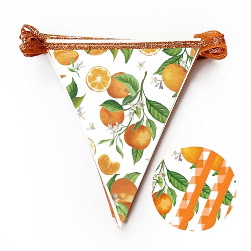 Image of Citrus Orange Party Decorations Orange Plaid Floral Pennant Banner Flag Hanging Paper Triangle Bunting for Birthday Wedding Bridal Shower Engagement Bachelorette Party Decorations Supplies