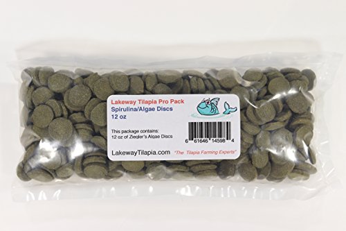 Lakeway Tilapia Pro Pack Zeiglers Spirulina Algae Discs Tilapia Food - 12 Ounces