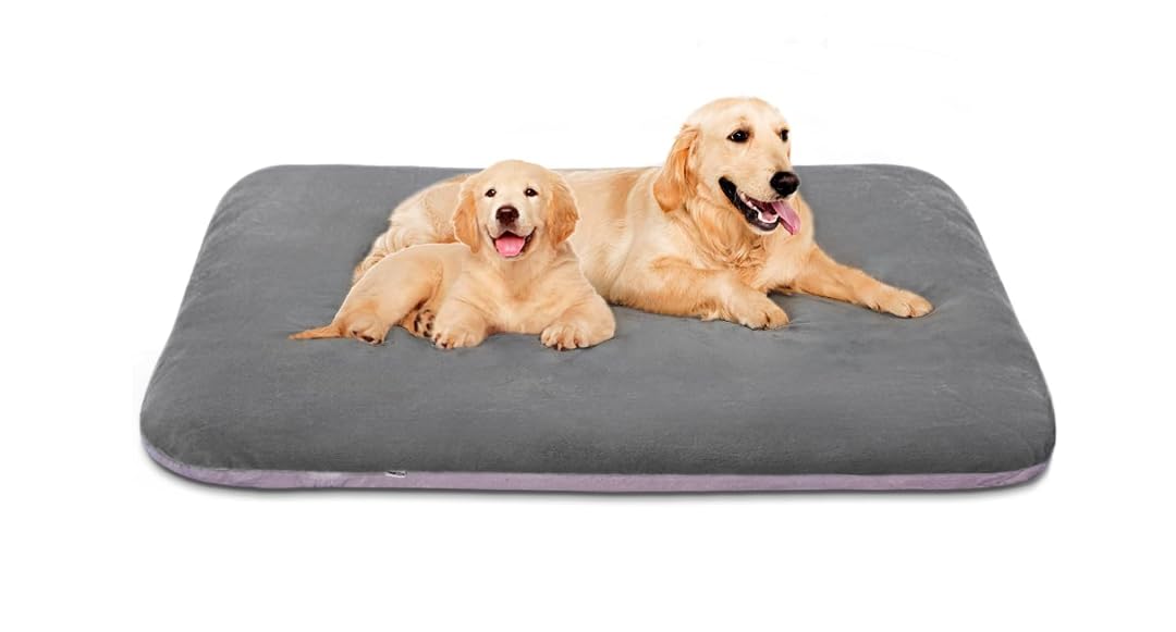 See full amazon price history chart for Dreamland Doggys Extra Large Dog Bed Orthopedic Pet Beds 47 Inch Jumbo Crate Pad Mat Washable Anti Slip Dog Sleeping Mattress with Removable Cover, Light Grey XL Dreamland Doggys Extra Large Dog Bed Orthopedic Pet Beds 47 Inch Jumbo Crate Pad Mat Washable Anti Slip Dog Sleeping Mattress with Removable Cover, Light Grey XL (B0CV26NZL4) Amazon Price History, Amazon Price Tracker