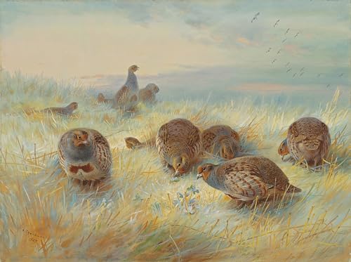 Toile décoration murale 60x90cm une aube glaciale Archibald Thorburn habille vos murs