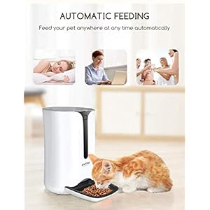Automatic cat feeder faroro dog food dispenser for small pets with distribution alarms portion control voice recorder and programmable timer for up to 4 meals per day  urban country home decor
