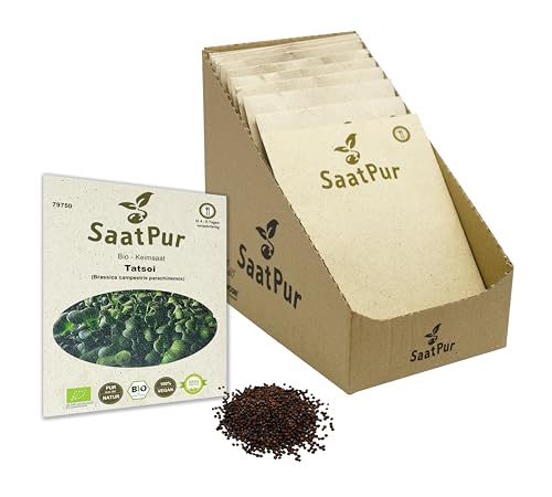 Tatsoi BIO Keimsprossen von SaatPur - Keimsaat f&uuml;r Sprossen, Microgreens - Klreines Tray mit 30 Portionst&uuml;ten je 20g