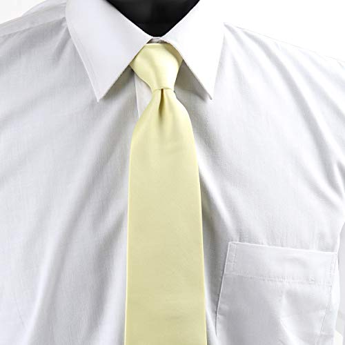 Image of boxed-gifts Umo Lorenzo Mens Zipper Ties Solid Color Pre Tied Polyester Neckties for Men and Women
