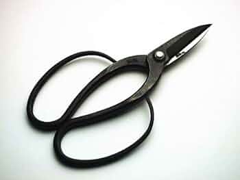 41jWMTfOAyL._AC_UF350,