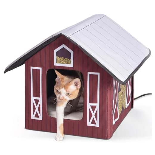 Insulated Heated Cat House for Winter Use