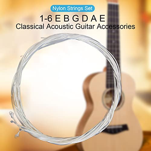 Lot de 6 cordes de guitare en métal parfaites pour le spectacle - Les Beatles, Paul McCartney, John Lennon, RIngo Starr, George Harrison Lot de 6 cordes de guitare en métal parfaites pour le spectacle – Image 3
