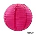 Produktbild TKG 4/6/8/10/12/14/16 Inch Dekorpapier Pom Poms hängende Papierlaterne Honeycomb Balls Hochzeit Geburtstag Dekor Zeigen Supplies,Laterne Rose,16inch 40cm