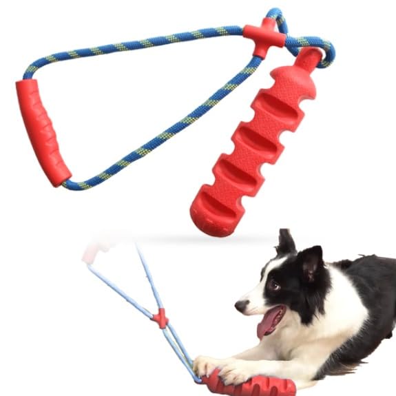 See full amazon price history chart for Pawsindia Natural Latex Rubber Dog Chew Toys for Aggressive chewers Durable Interactive Fetch & Chew Safe Play Toy, 9 Inches, Red Pawsindia Natural Latex Rubber Dog Chew Toys for Aggressive chewers Durable Interactive Fetch & Chew Safe Play Toy, 9 Inches, Red (B0BCP8X872) Amazon Price History, Amazon Price Tracker