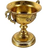 Pot de fleurs style vintage : ce pot de fleurs s'harmonise facilement avec votre décoration intérieure et convient aussi bien à l'intérieur qu'à l'extérieur. pot de fleurs en métal