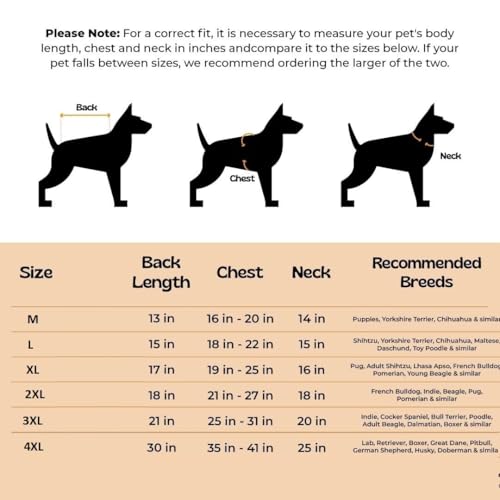 Image of Waterproof Dog Raincoat with Hood | Double Coloured Red-Yellow | Adjustable Velcro | Extra Coverage | Easy to Carry Pouch | for Small, Medium and Large Breed Dogs (Mini Adult (XL))