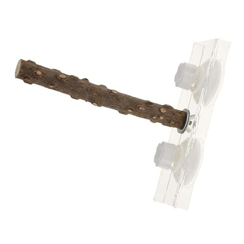 Abaodam Support pour Perroquet Ventouse en Acrylique et Plastique, Perchoir Portable pour Oiseaux Moyens, Lieu de Mastication et d'escalade pour Voiture et Maison
