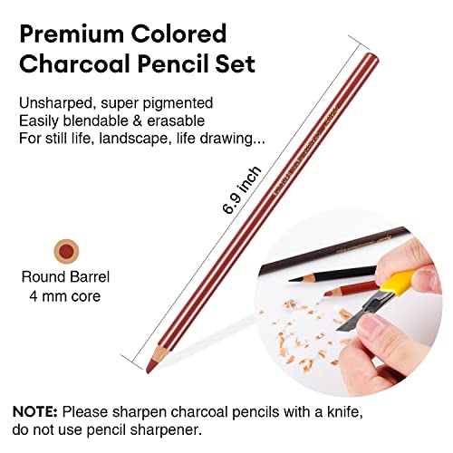 Dyvicl Charcoal Pencils Drawing Set, 12 Pieces Colored Charcoal Pencils For Drawing, Sketching, Shading, Blending, Highlight White Pencils For Beginners And Artists #TOP7