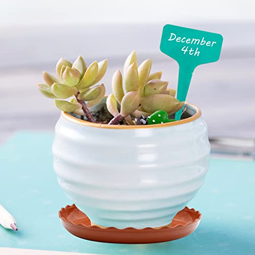 Aynaxcol 12 Pack White Plant Trays 3 Sizes Plastic Round Wave Plant Saucer Flower Plant Pot Saucer Terracotta Drip Trays For Indoor Outdoor Flower Pots And Planters, With 20Pcs Green Plant Labels #TOP1