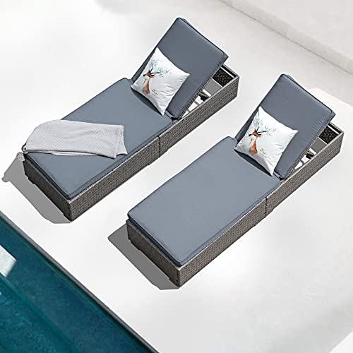 Patiorama Outdoor Patio Chaise Lounge Chair, Elegant Reclining