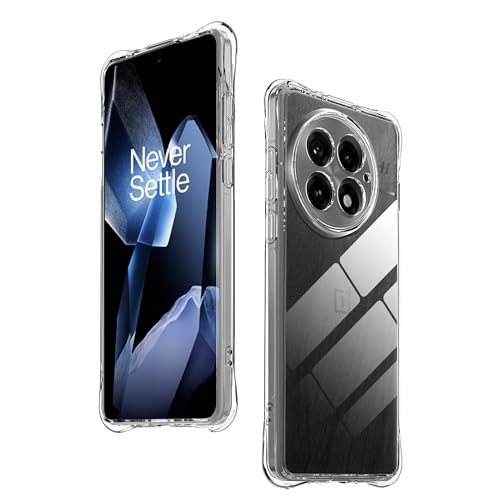 Oneplus 13