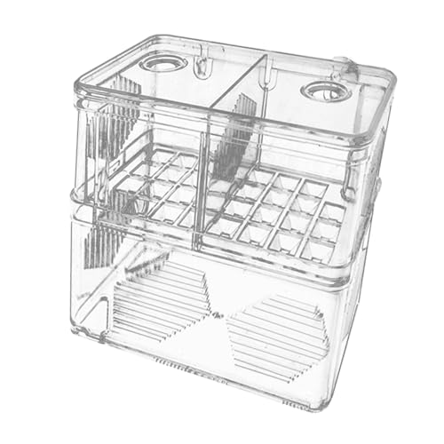 STARTIST �����p�����甠 �z���C���L���x�[�^�[�A�N�Z�T���[ �v���t�F�b�V���i�� �����甠�Z�p���[�^�[ �J�N�� �x�r�[�V�������v�p