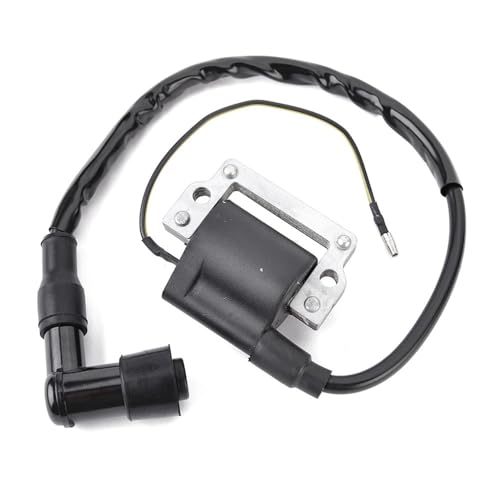 Bobina de encendido de repuesto para motocicletas TT, TY, YT y serie DT