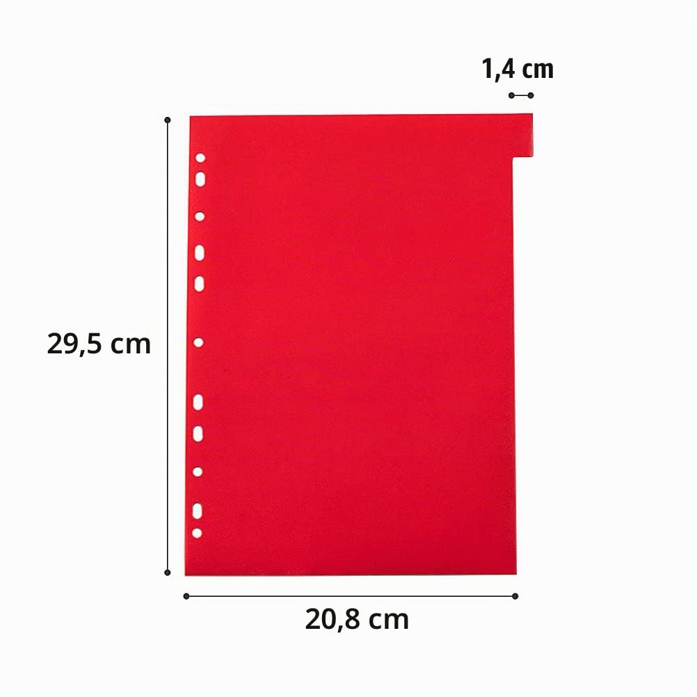 Separatori Raccoglitore ad Anelli A4 29,5x20,8 cm Divisori Colorati per Ufficio Scuola Casa