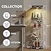 FANYUSHOW Glass Display Cabinet with LED Light, Quick-Install Style 4-Shelf Curio Cabinet 5mm Tempered Glass Bookshelf for Living Room, Bedroom, 65