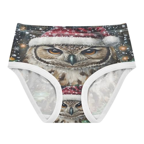Christmas Owl Toddler Girls's Underwear 2T 202b8658s