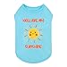 Fitwarm You are My Sunshine Dog Shirt, Tropical Summer Clothes for Small Dogs Boy Girl, Funny Pet Outfit, Blue, Yellow, XL