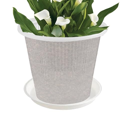 Penlimly Maceta para orquídeas de interior