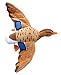 ADORE 20" Madeline the Female Mallard Duck Plush Stuffed Animal Walltoy Wall Mount