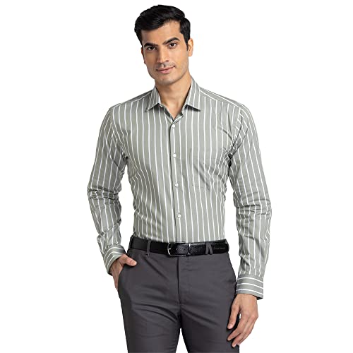 Image of Park Avenue Men's Pure Cotton Stripe Pattern Slim Fit Ainsley Collar Full Sleeve Formal Shirt