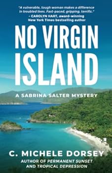 No Virgin Island: A Sabrina Salter Mystery