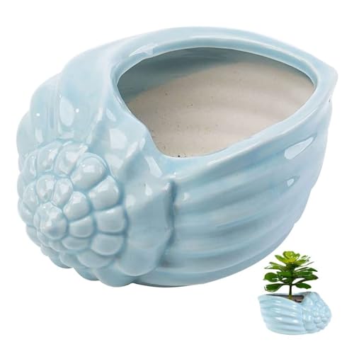 Lady Yun Welcome Planter Desk Decor Water Plant Holder Ceramic Conch Shell Ocean Succulent Planter Pot Front Patio Decor